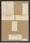 Isthmiella capensis Grun. (de-Toni-Nr.: Genus 116, Species 3332) Zeichnungen Sammlung Grunow Nr. 6739 (NHMW-BOT-W0375556)